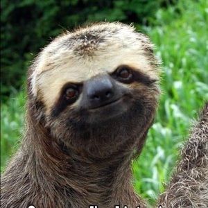 Meet your Posher, Karen